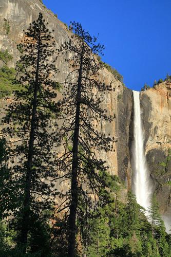 Vertical Splendor, Yosemite National Park