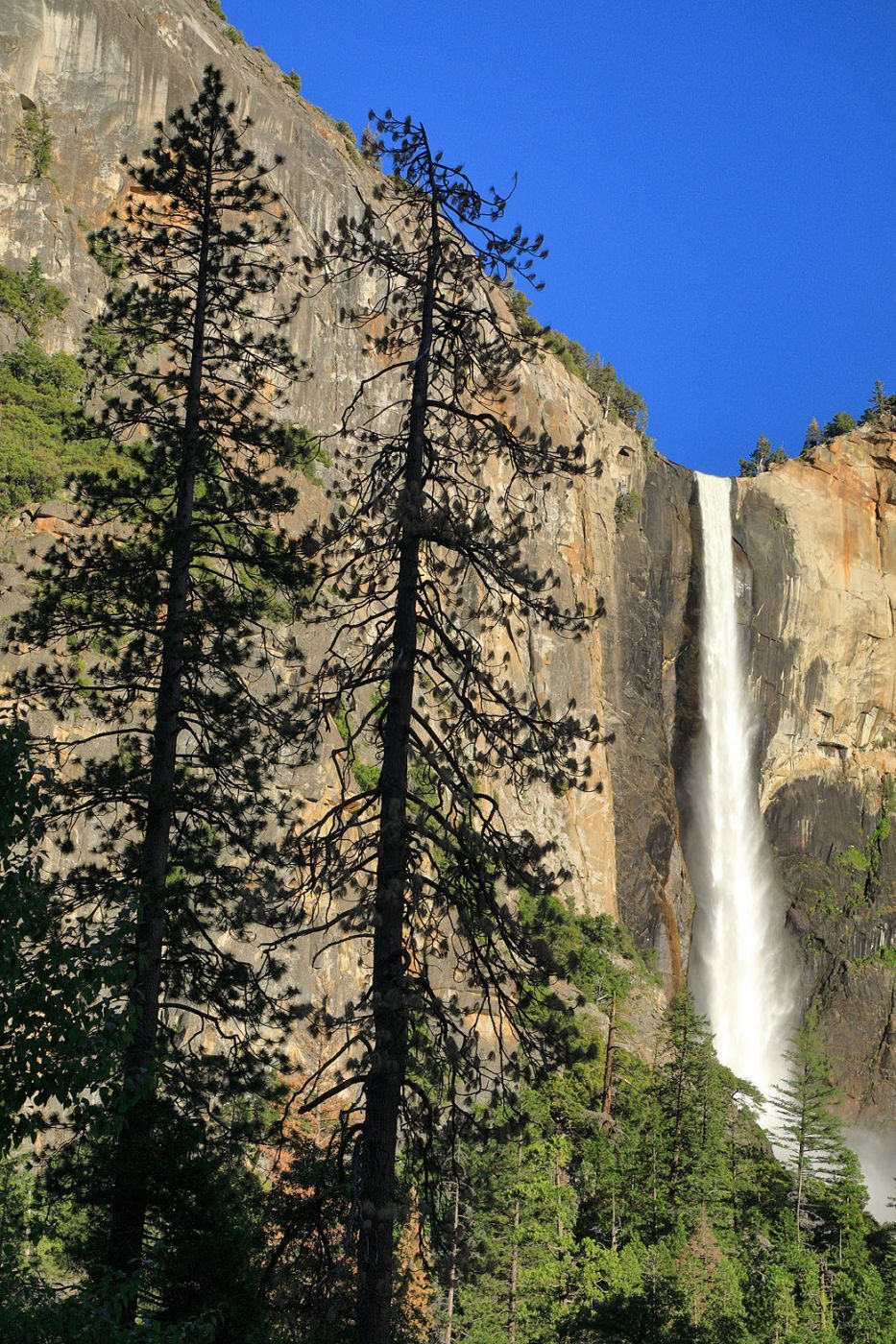 Vertical Splendor, Yosemite National Park, USA