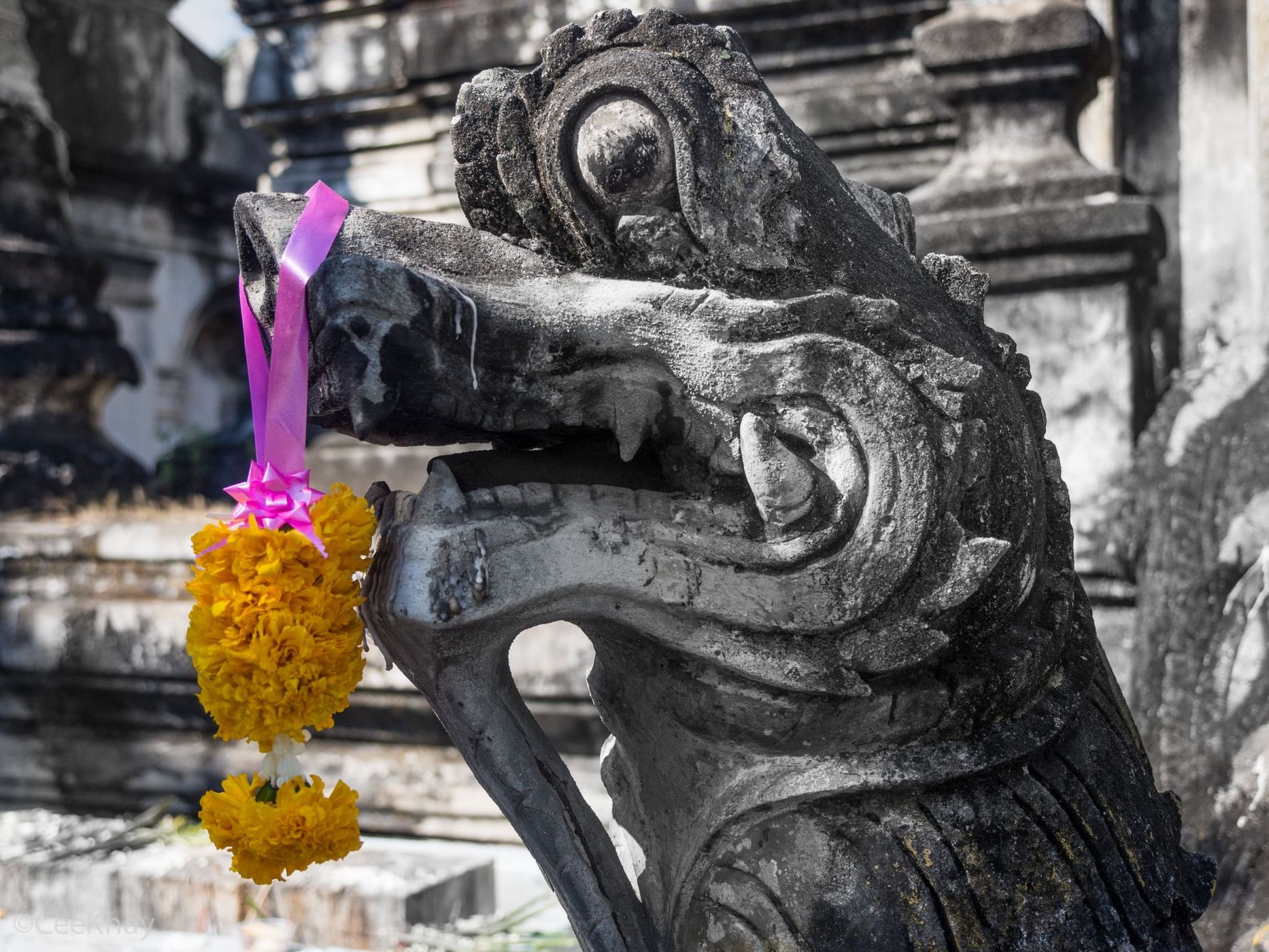 Wat Pa Pao, Thailand