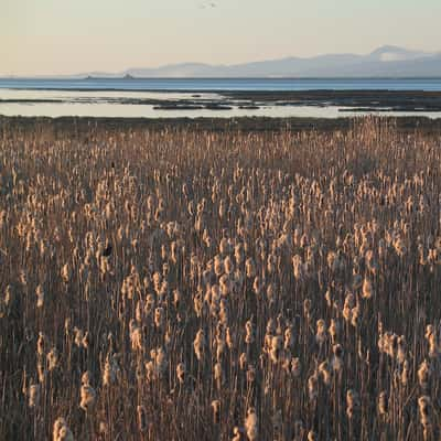 Western dyke, Richmond BC Canada, Canada