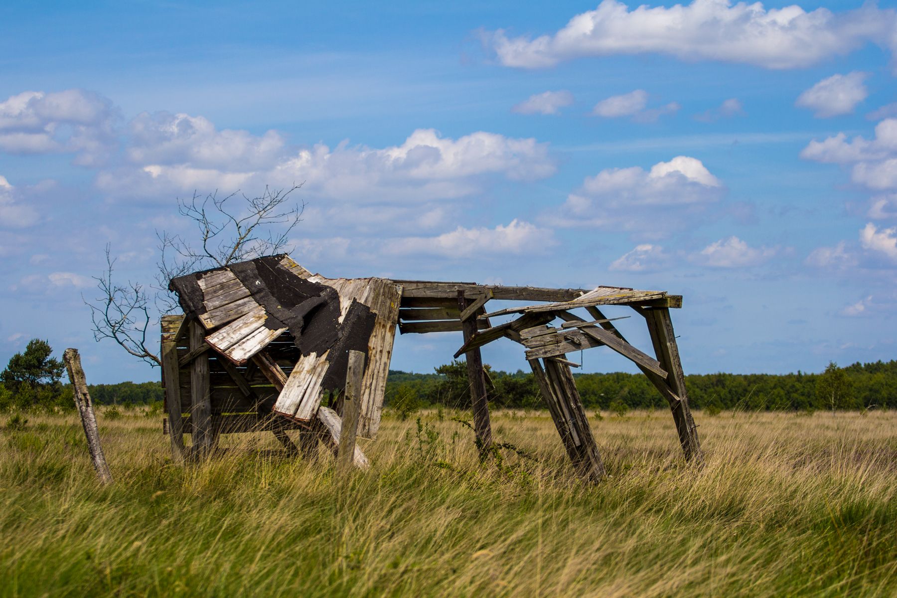 Wietinghäuser Moor, Germany