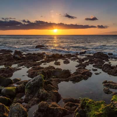 Bahia Beach Palm Mar Seascape, Spain