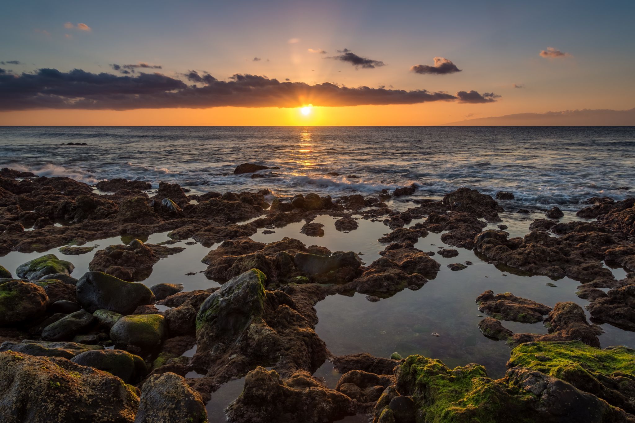 Bahia Beach Palm Mar Seascape, Spain