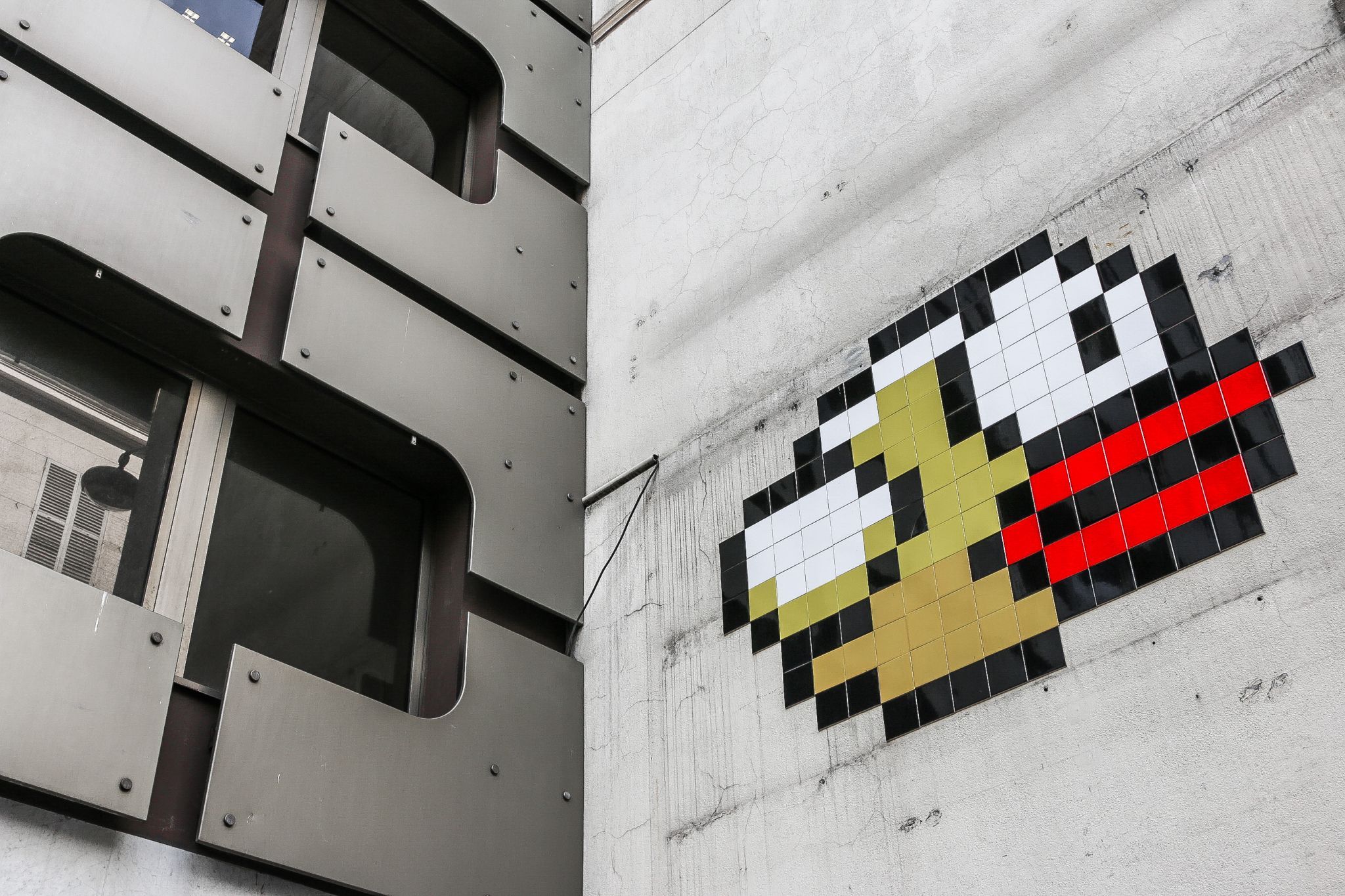 bird on the wall, France