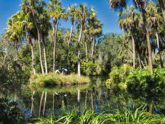 BOK Tower and Gardens