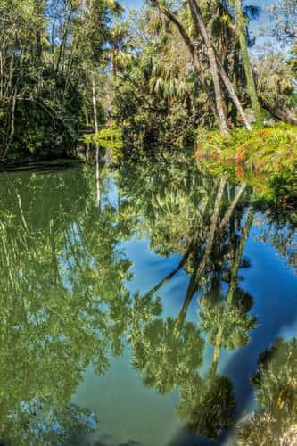 BOK Tower and Gardens