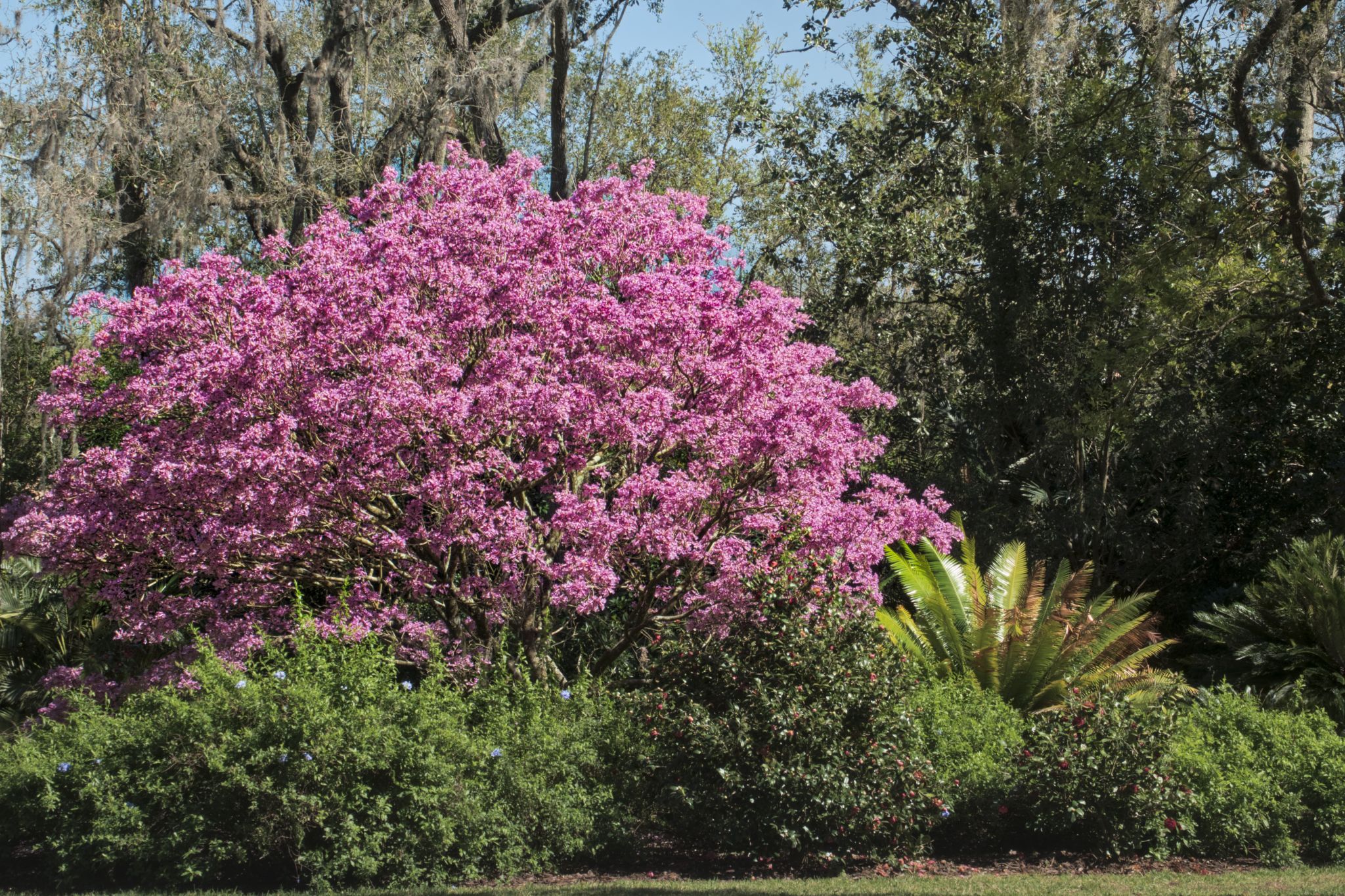 BOK Tower and Gardens, USA