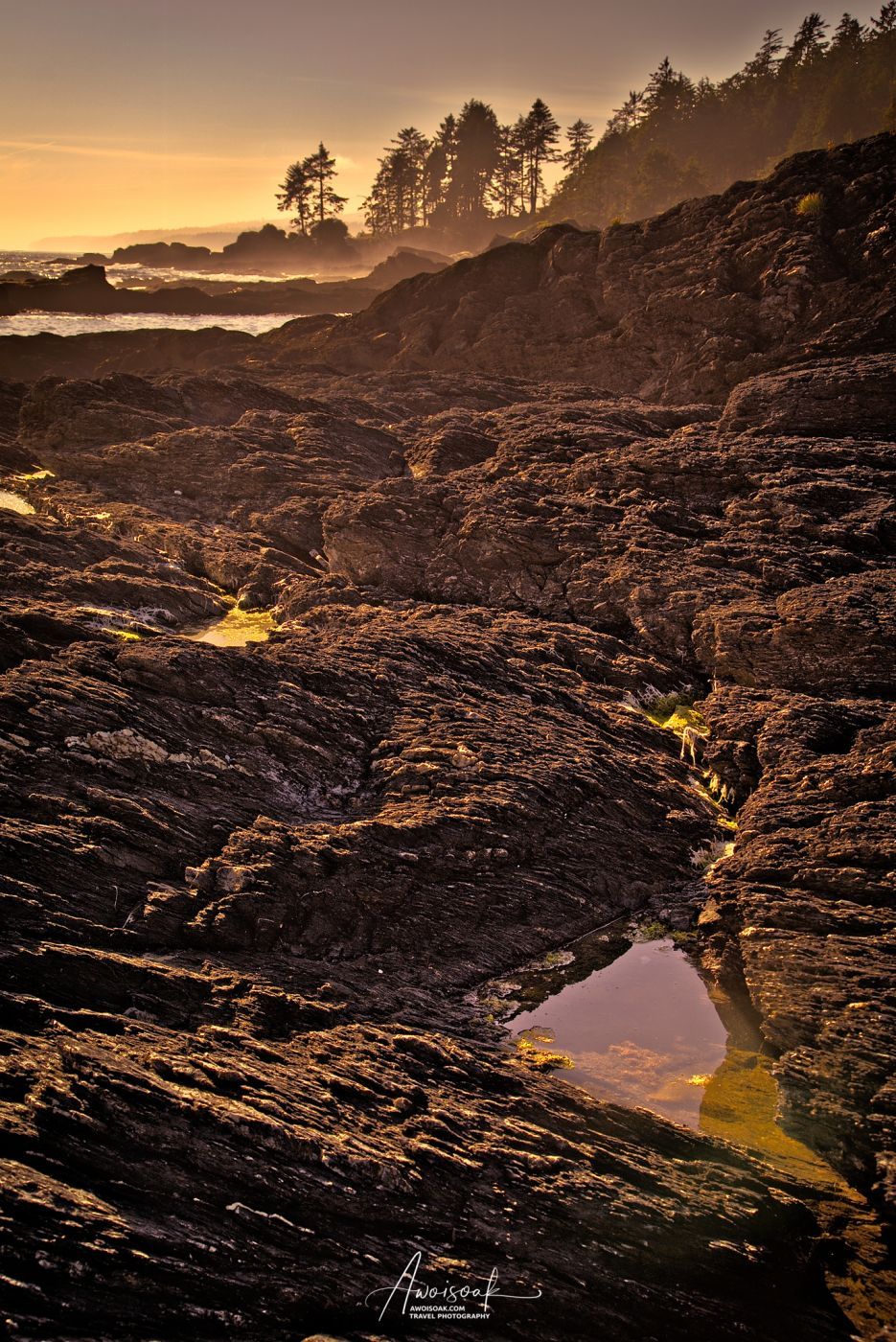 Botanical Beach Provincial Park, Canada