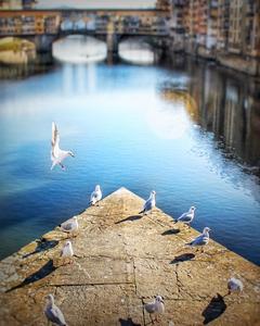 Bridge at Ponte Santa Trinita, Florence, Tuscany, Italy
