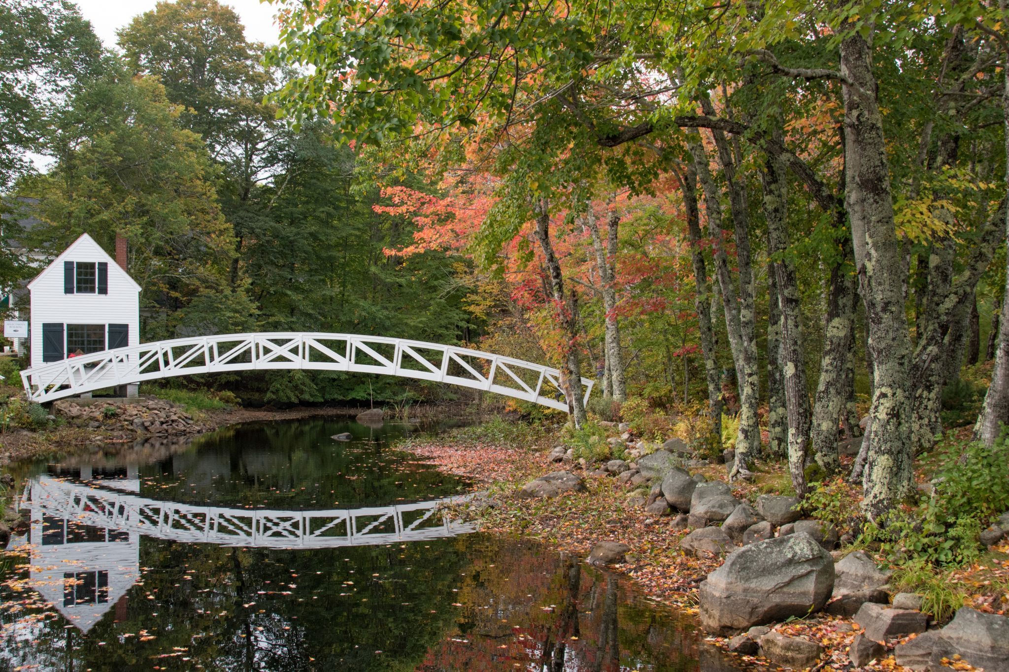 Bridge at Somesville Library, USA