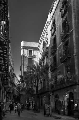 Carrer del Bisbe