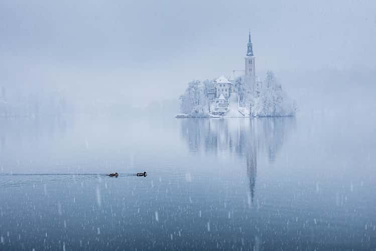 Lake Bled - Wooden Jetty - Rock covered with coins