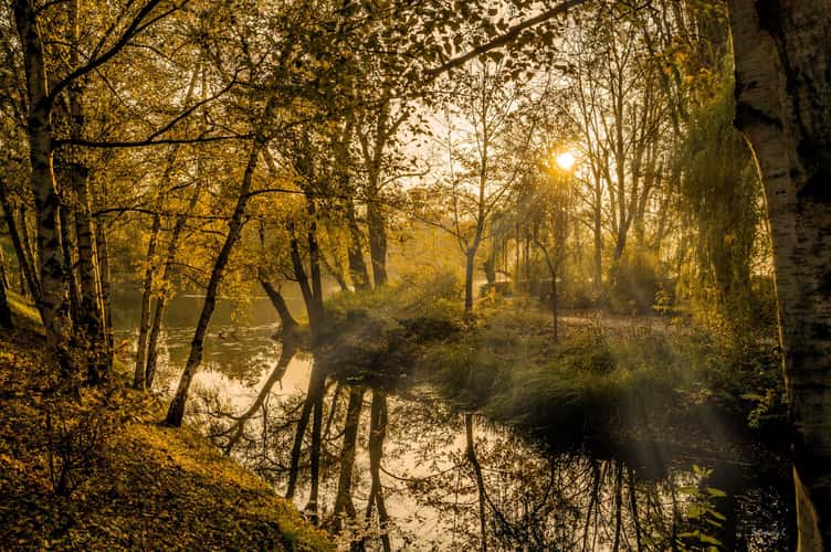 Florisdorfer Wasserpark, Vienna