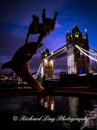 Girl & Dolphin Tower Bridge London