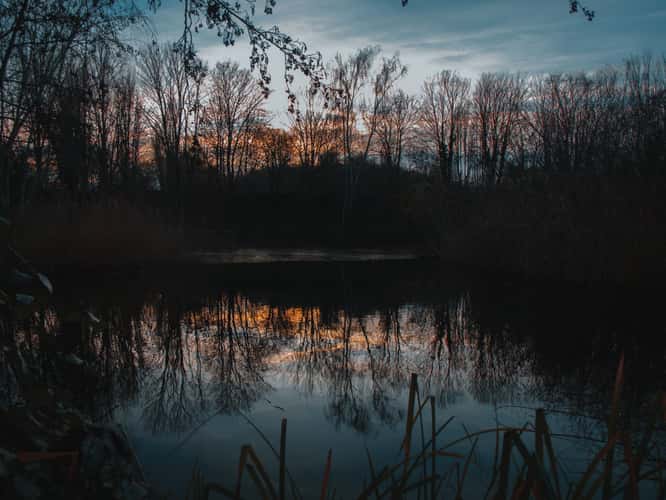 Görlitzer Park Teich