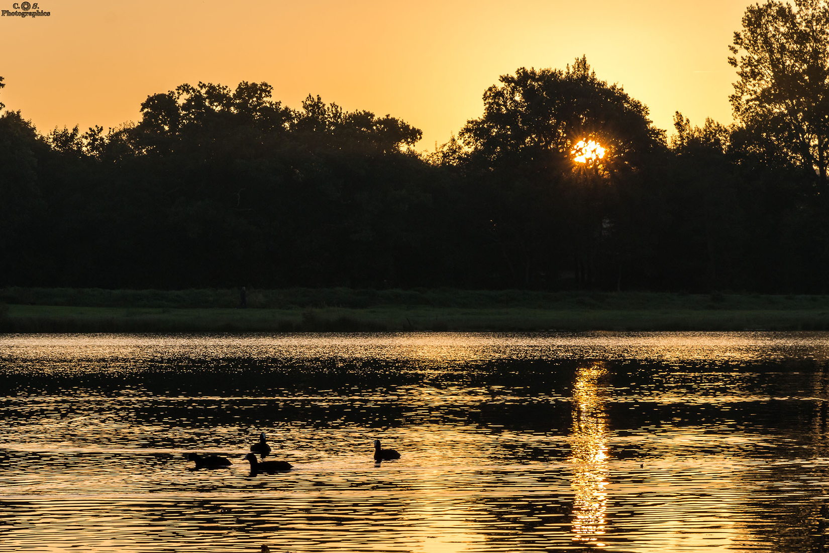 Hasesee Bramsche, Germany