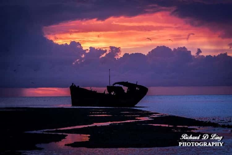 Heron Island