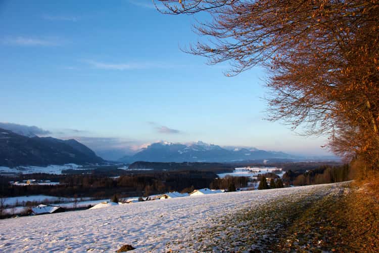 Höring Alpen View