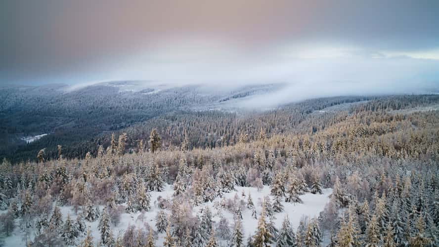 View from Hohloh Tower, Kaltenbronn