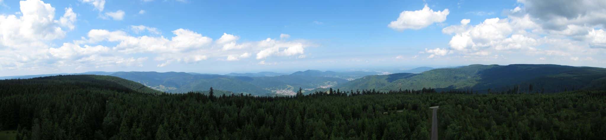 View from Hohloh Tower, Kaltenbronn