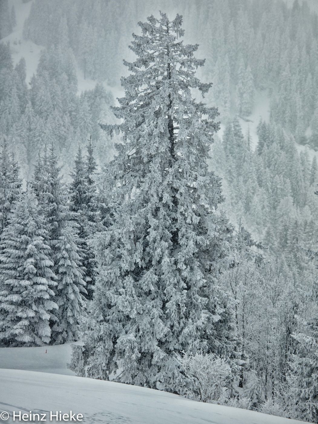 Iltois, Switzerland