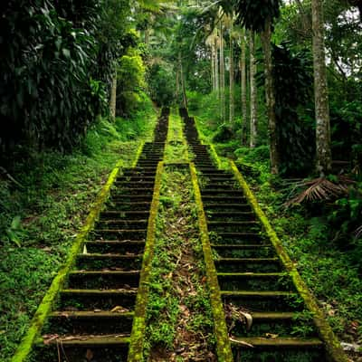 Jungle Stairs, Indonesia