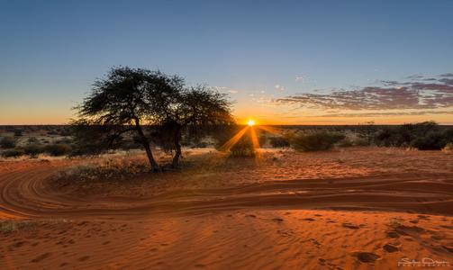 Kalahari Red Dunes