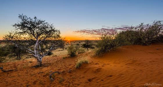 Kalahari Red Dunes