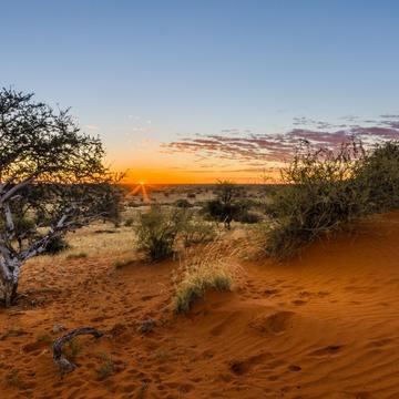 Kalahari Red Dunes, Namibia