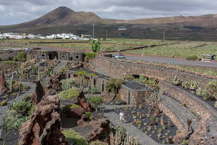 Jardín de Cactus, Lanzarote