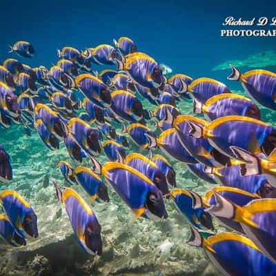 Mirihi Island, Maldives