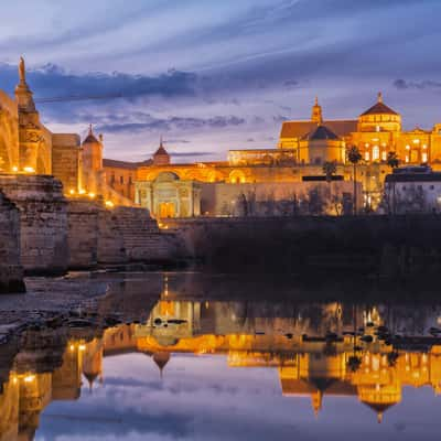 Mosque Córdoba and roman bridge from the river, Spain