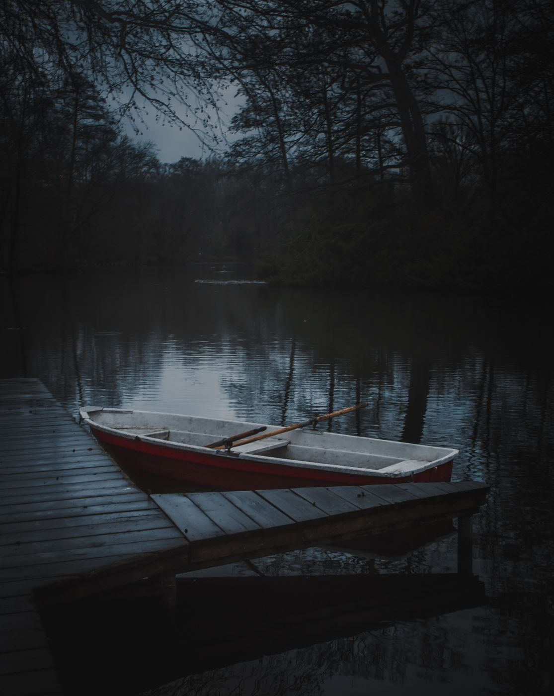 Neuer See, Germany