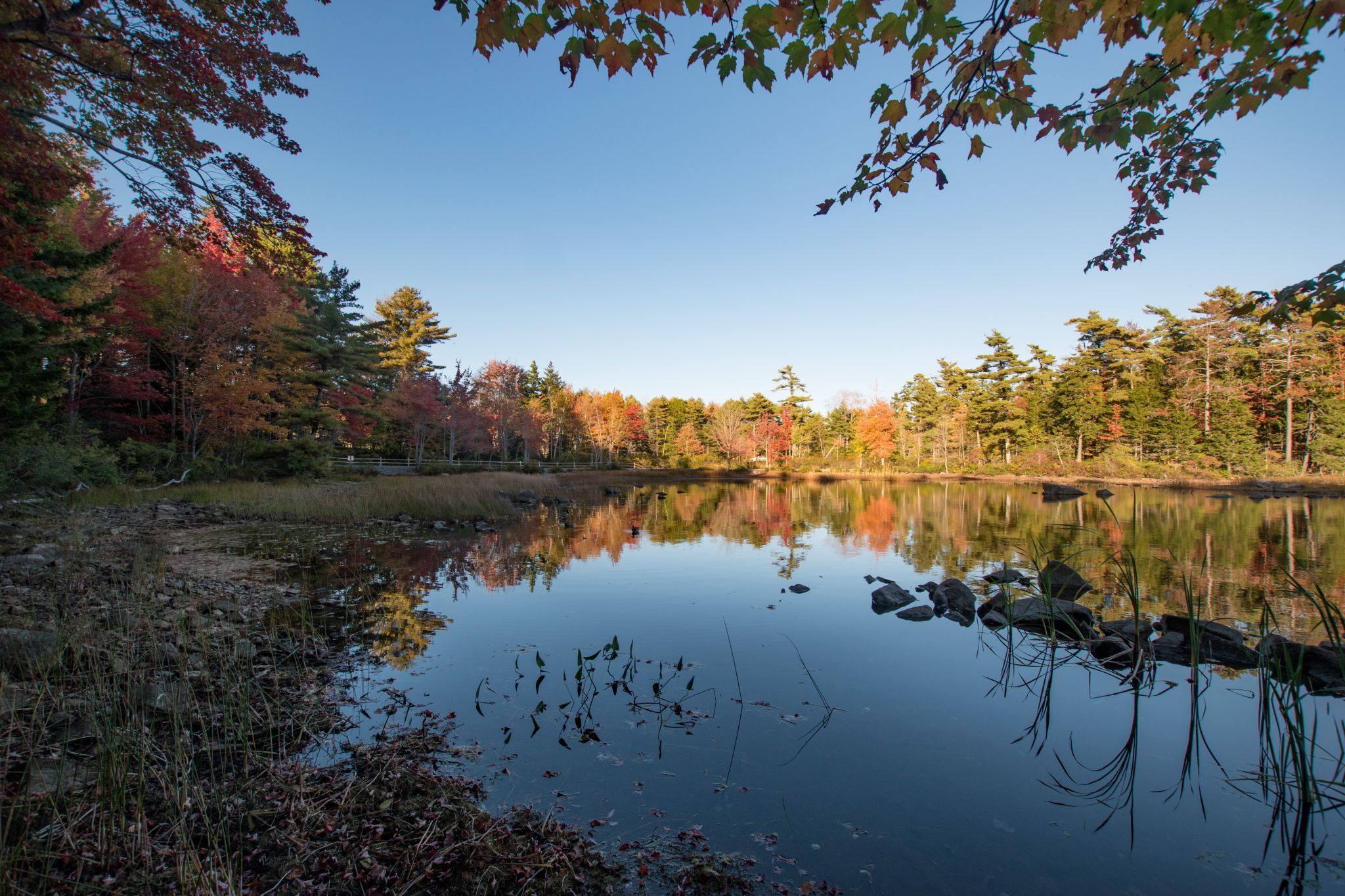 North Point of Eagle Lake, USA