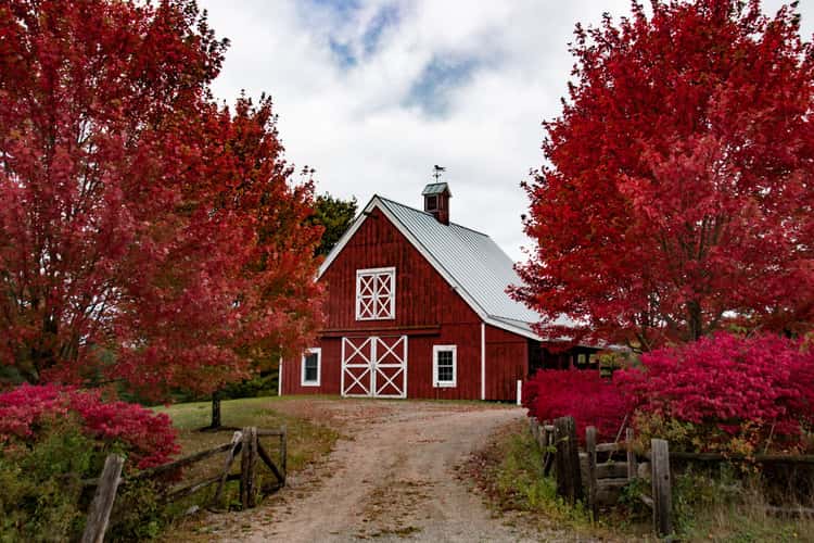 Red Barn