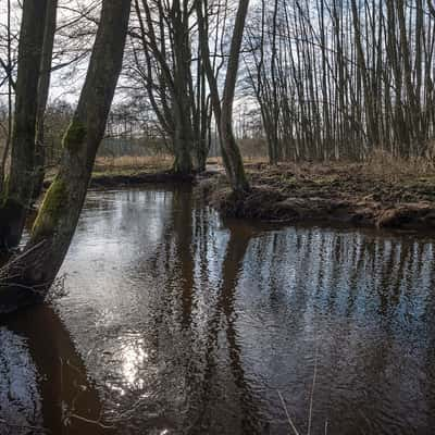 River Wümme near Königsmoor, Germany