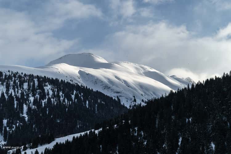 Rueras