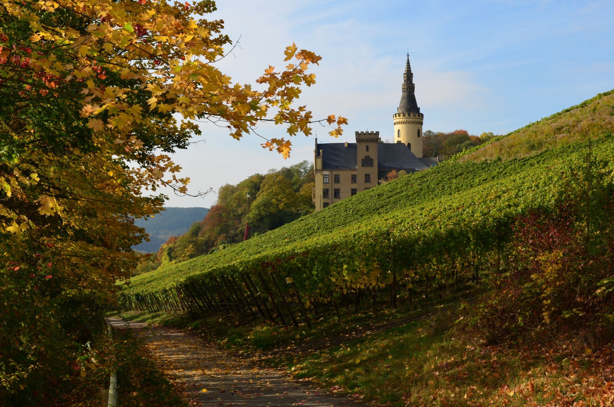 Schloss Arenfels, Germany