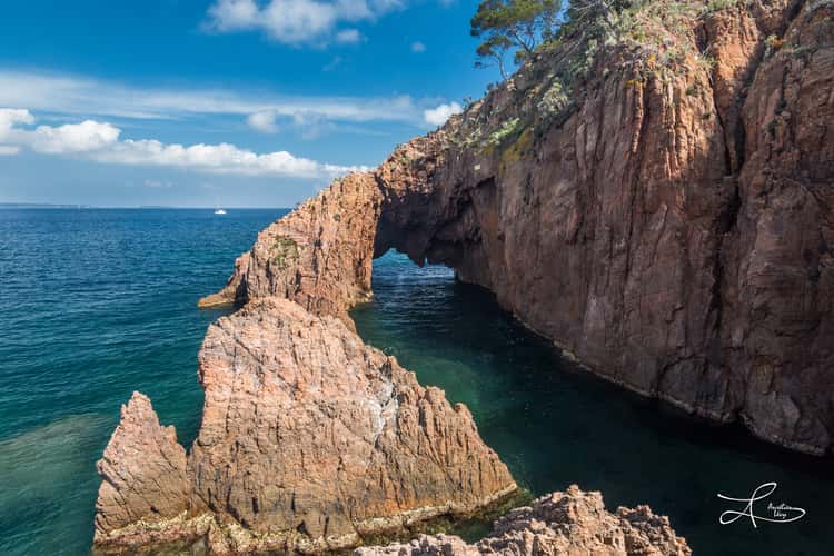 The Arc