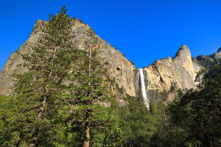 Towering Heights-Yosemite National Park