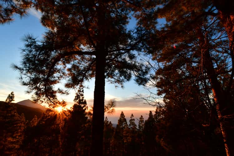 View on Teide