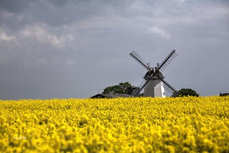 Windmill, Eyendorf