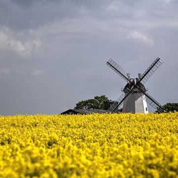 Windmill, Eyendorf, Germany