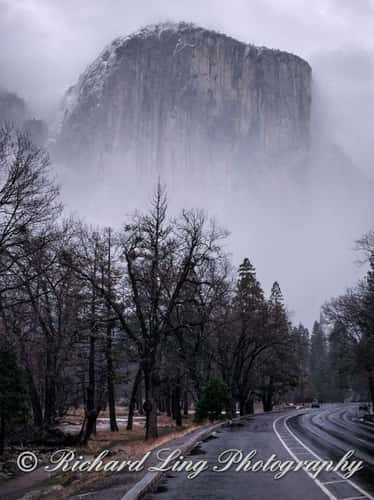 Yosemite National Park
