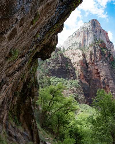 Zion Weeping Rock