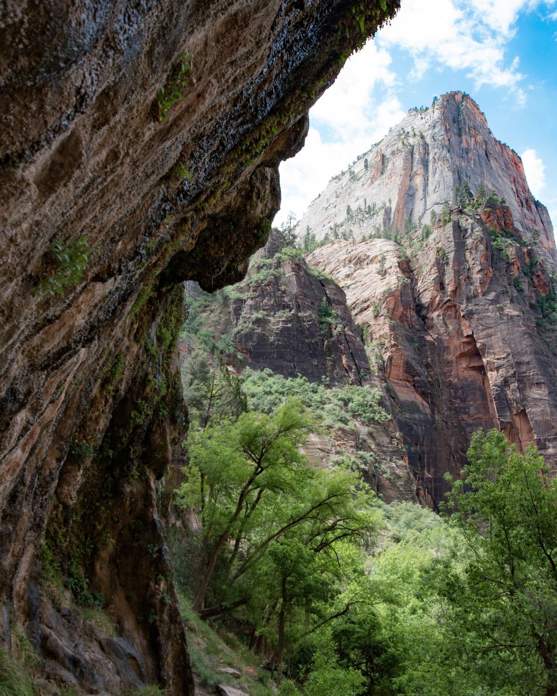 Zion Weeping Rock, USA