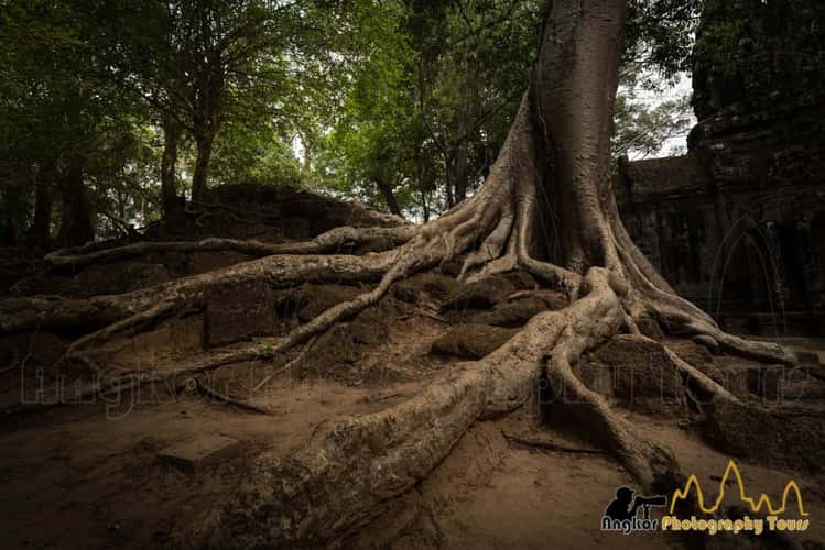 Angkor Thom North Gate