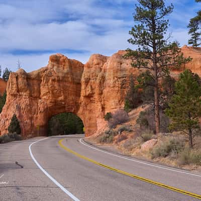 Arches at Red Canyon Trailhead, USA