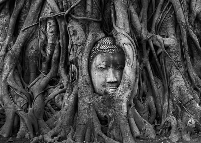 Ayutthaya Ancient City