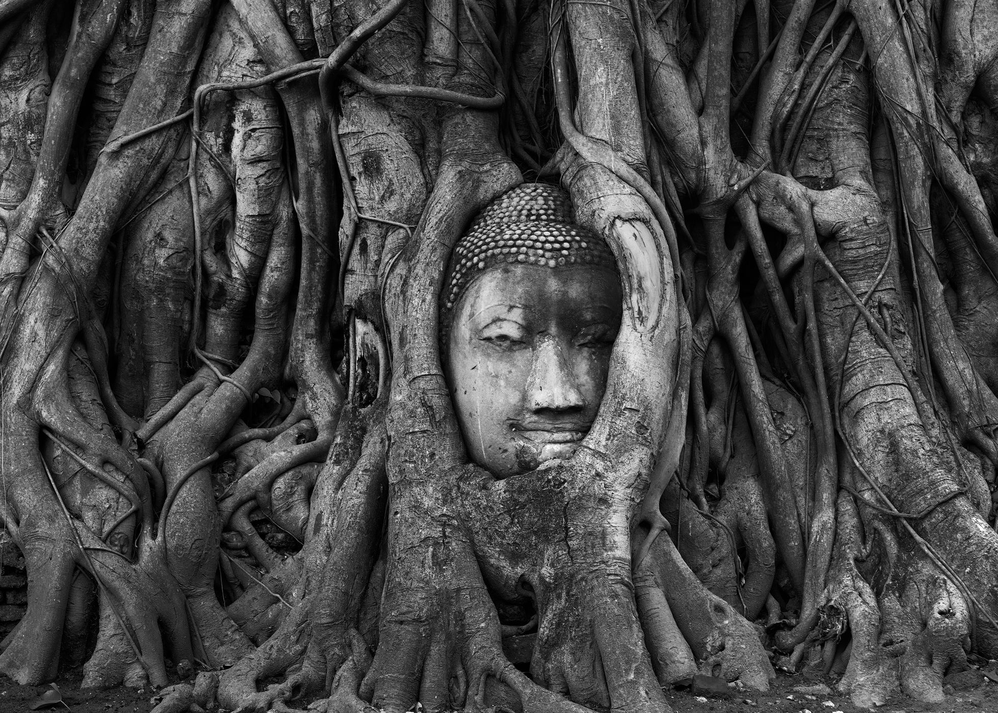 Ayutthaya Ancient City, Thailand